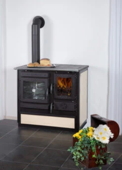 EEK A+ - Dauerbrand Küchenofen Holzherd Globe Fire Alhena Creme / Anschluss Links